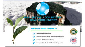 Detox Your Body with Energybolizer Tea