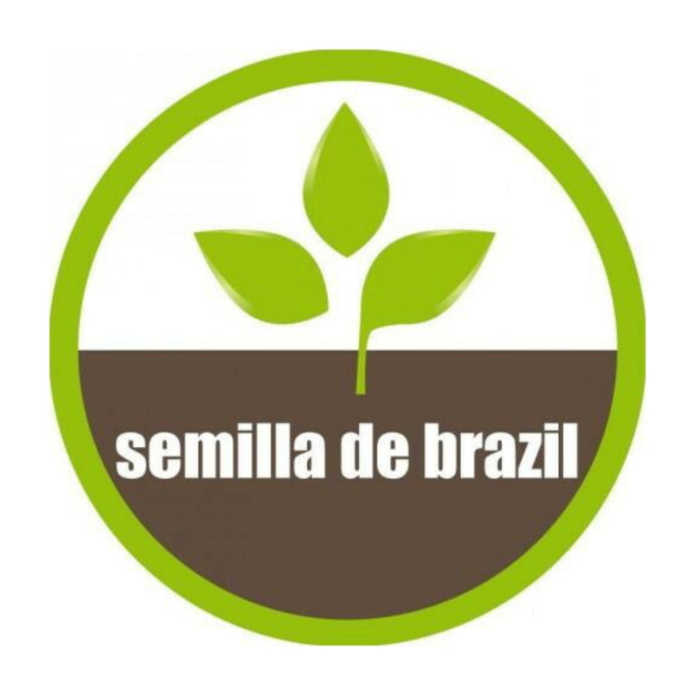 Detox Your Body with Semilla de Brazil