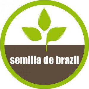 Semilla de Brazil